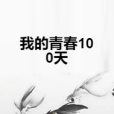 我的青春100天