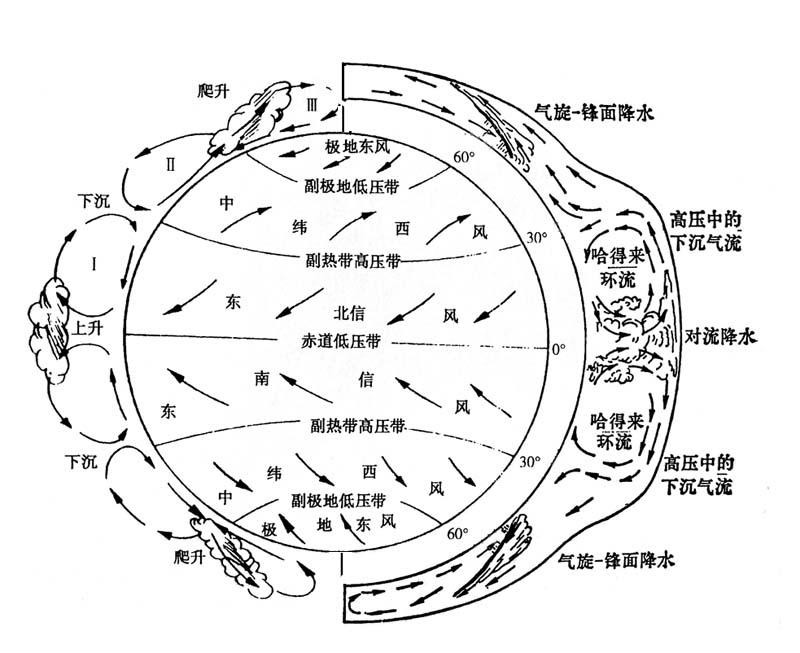 哈得來環流