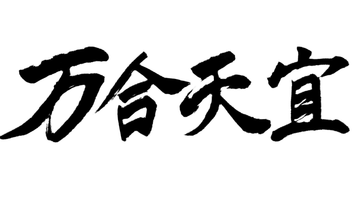 北京萬合天宜影視文化有限公司