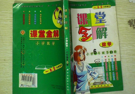 課堂全解(2007年陝西旅遊出版社出版的圖書)