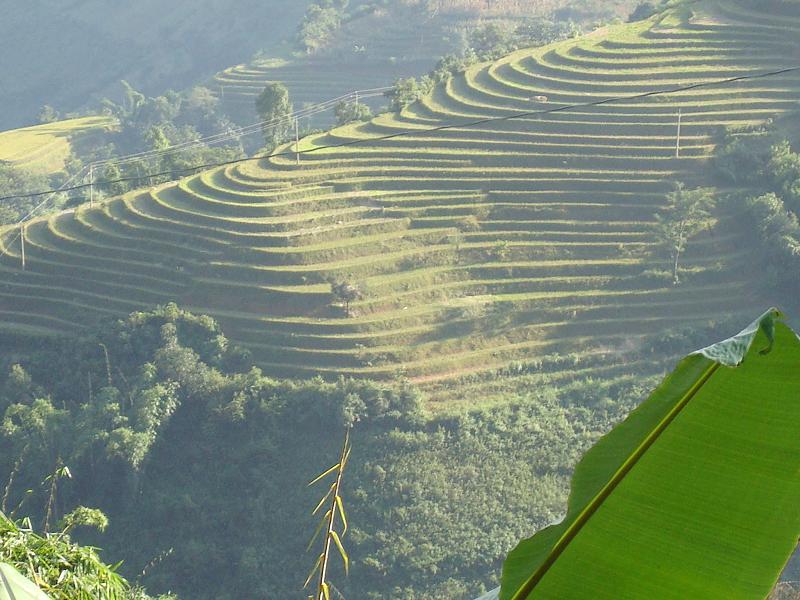 雲里梯田