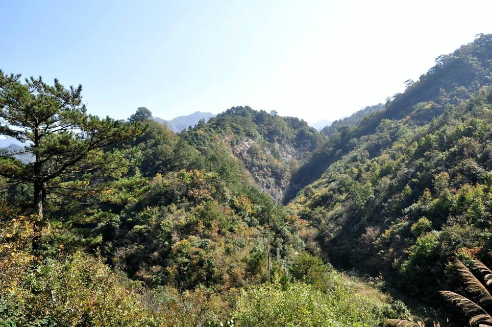 東葛山遠眺