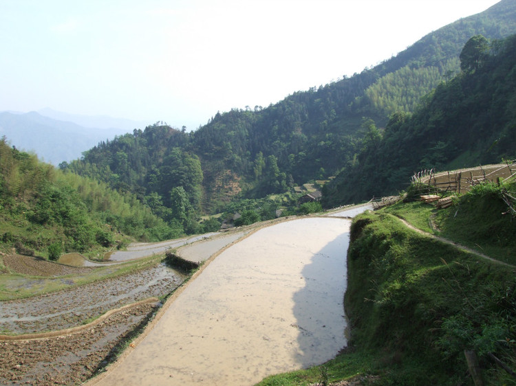 東嶺村(廣東省湛江市麻章區湖光鎮下轄村)