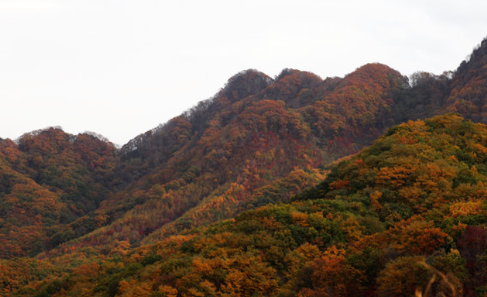 五頂山山脈