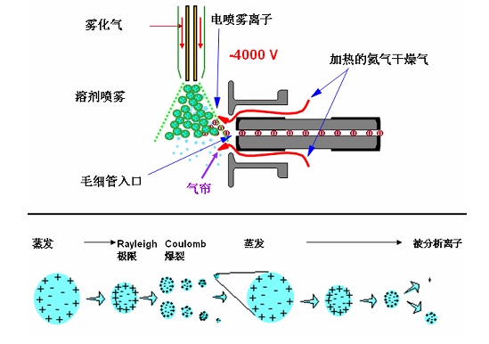 電噴霧源