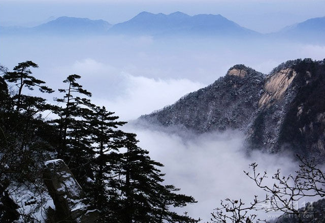 吊橋河村