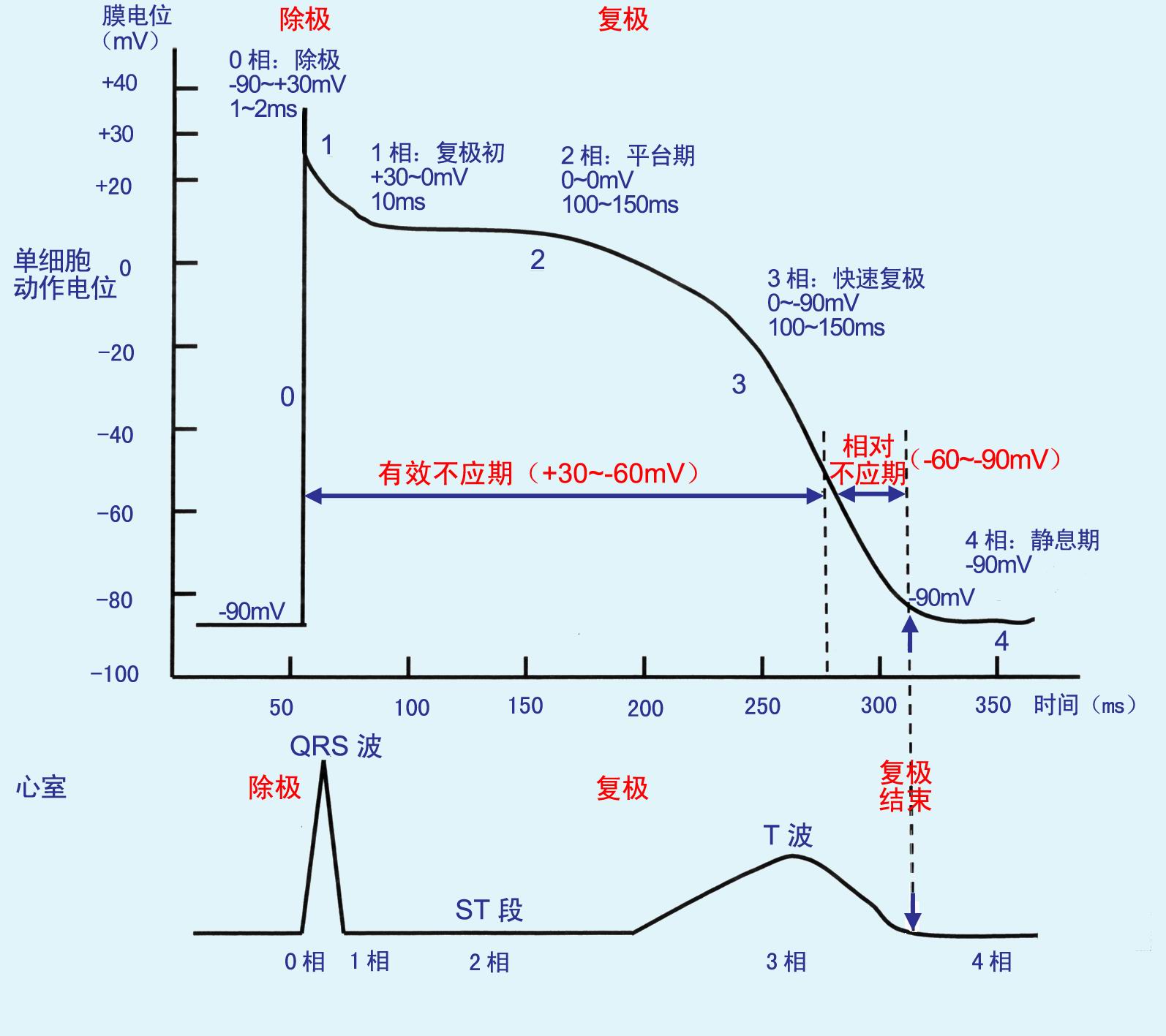 有效不應期(ERP（應急預案）)