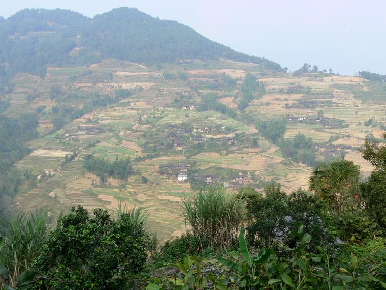 李子村自然村(雲南雲縣漫灣鎮下轄村)