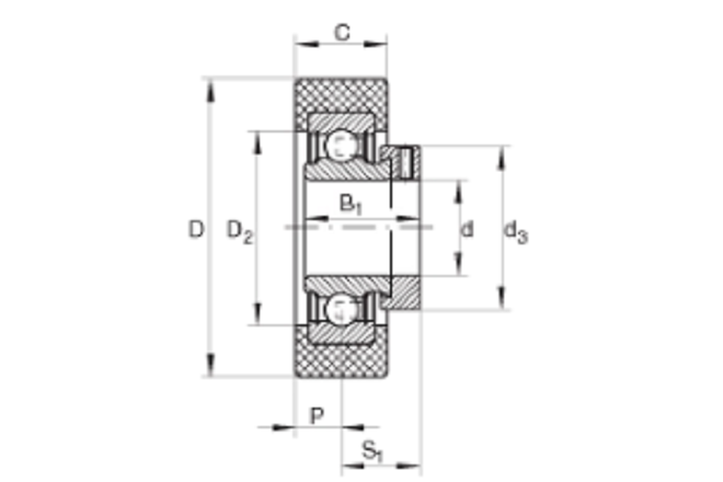 FAG RCSMB20/65-FA106軸承