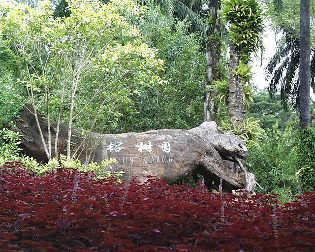 中國科學院西雙版納熱帶植物園