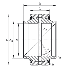 FAG GE45-HO-2RS軸承