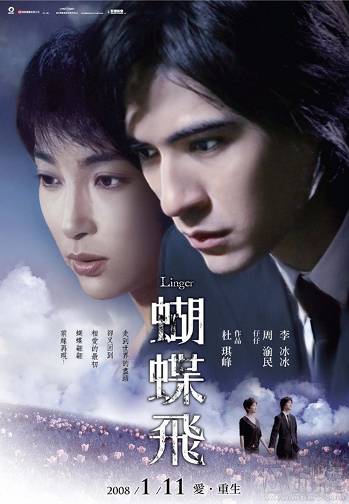 蝴蝶飛(2008年杜琪峯執導香港電影)