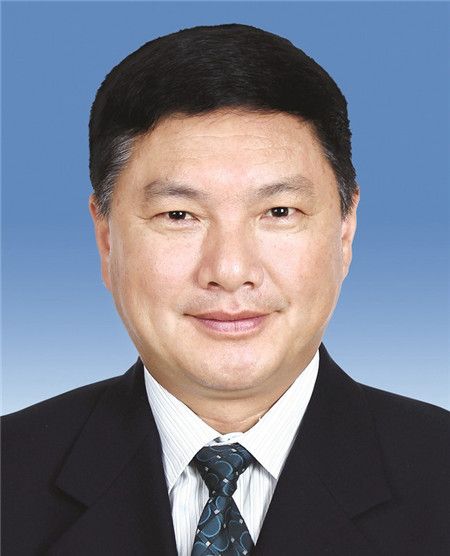 王應華(宜昌市政府副市長，民建湖北省委會副主委)