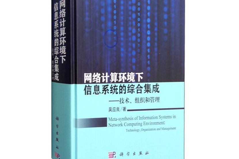 網路計算環境下信息系統的綜合集成