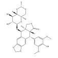 依託泊苷(鬼臼乙叉甙)