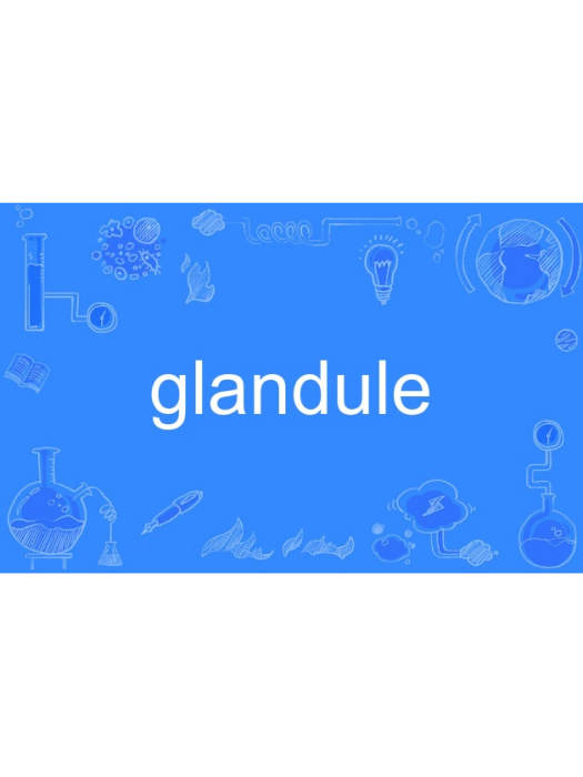 glandule