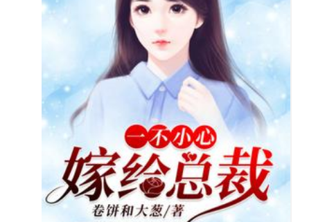 一不小心嫁給總裁(聿天使著網路小說)