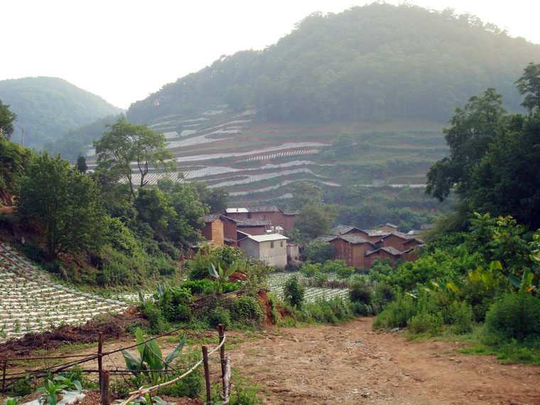 黑豆場村