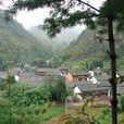 土塘村(雲南省會澤縣雨碌鄉小米村委會下轄村)