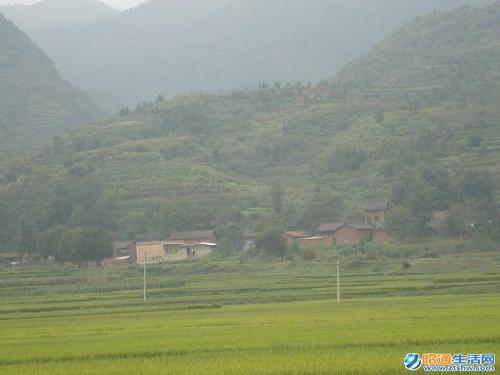 樂居鄉中河村