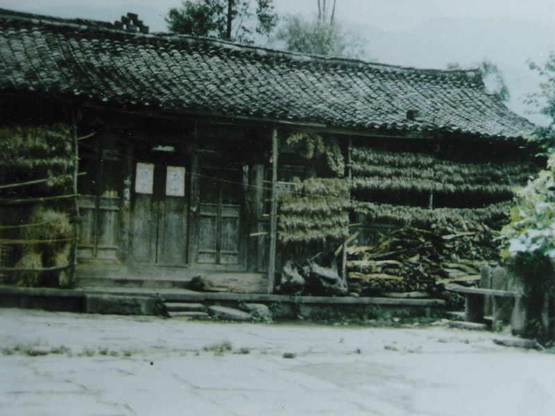 仁義鄉(四川天全縣仁義鄉)