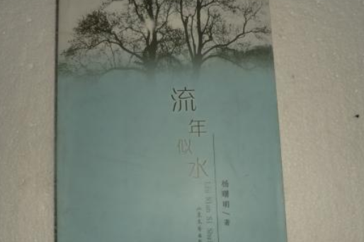 流年似水(2008年山東文藝出版社出版的圖書)