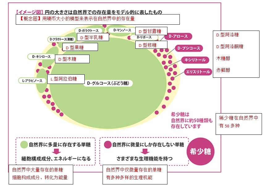 稀少糖