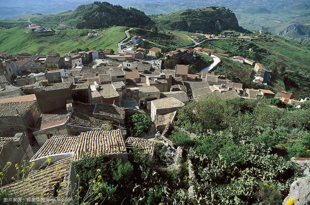 鄧家村(山東省東營市廣饒縣大王鎮鄧家村)