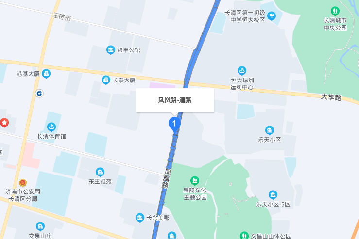 鳳凰路(濟南市長清區鳳凰路)