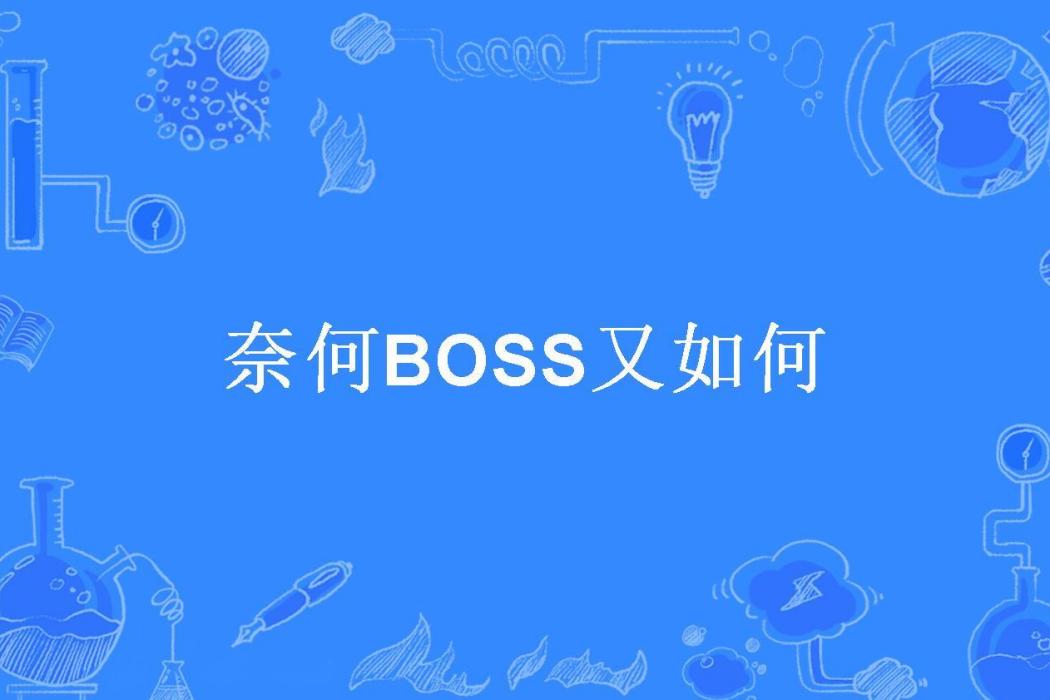 奈何BOSS又如何(純風一度所著小說)