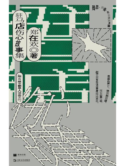 駐馬店傷心故事集(2023年上海文藝出版社出版的圖書)