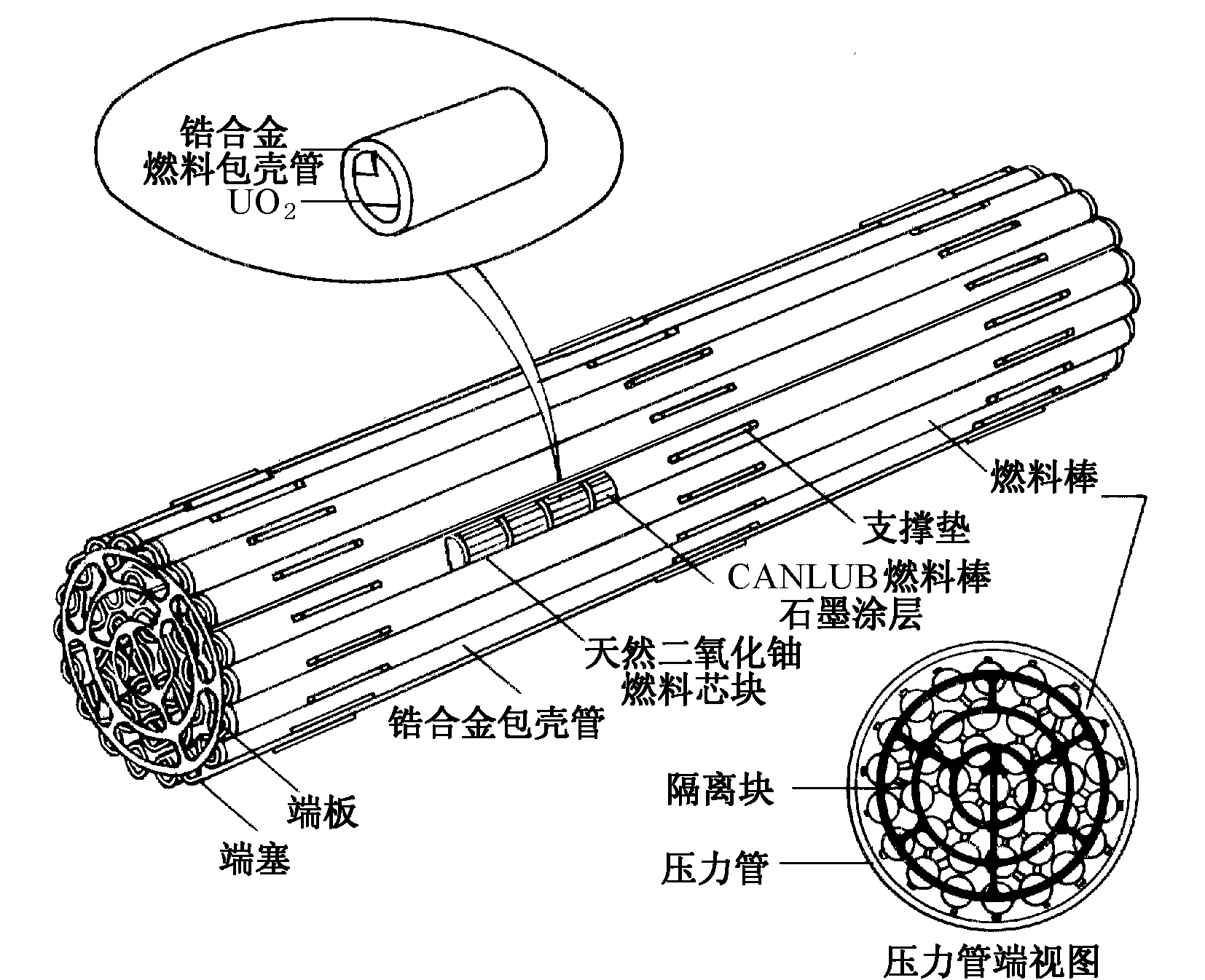 CANDU6型重水堆燃料棒束示意圖