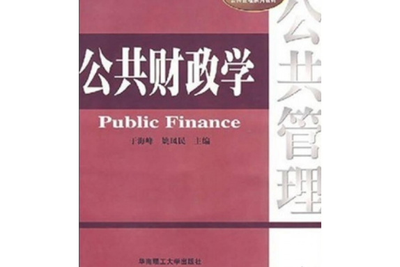 公共財政學(華南理工大學出版社出版圖書)