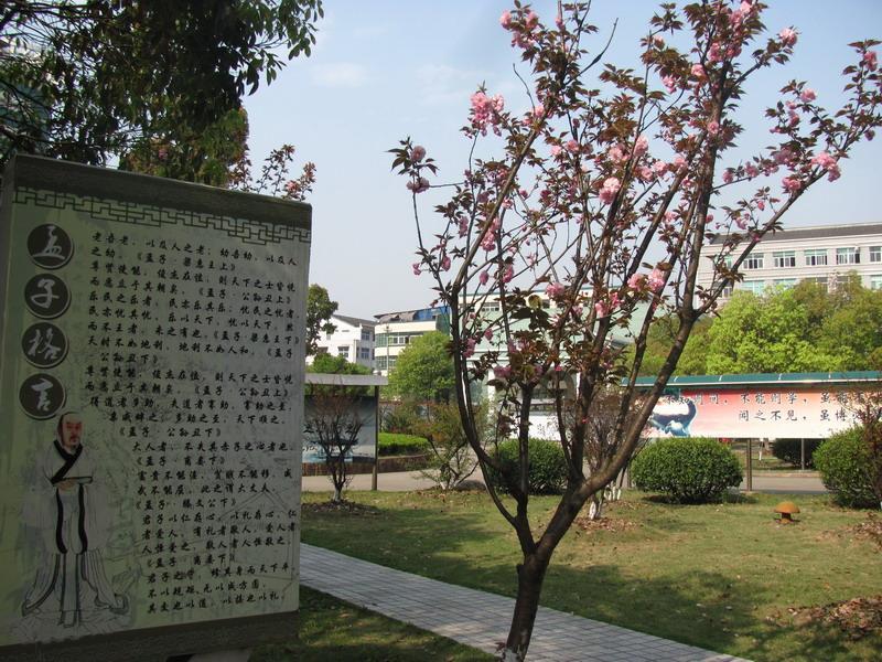 溫嶺市澤國鎮第四中學校園風景