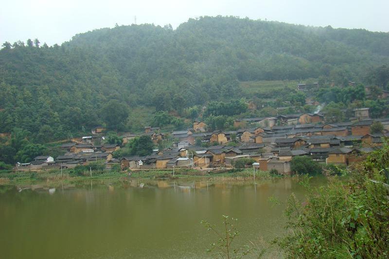 興達村(廣西田陽區坡洪鎮下轄村)