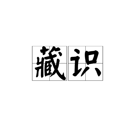 藏識(詞語)