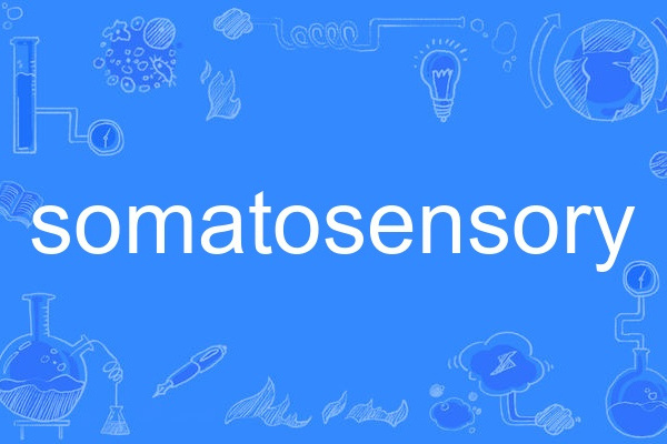 somatosensory