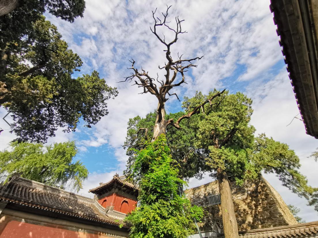 北京燕京八絕博物館