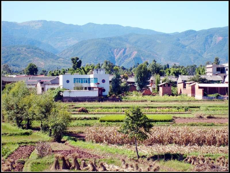 劉家莊村(山西省大同市天鎮縣卅里舖鄉下轄村)