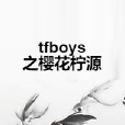 tfboys之櫻花檸源