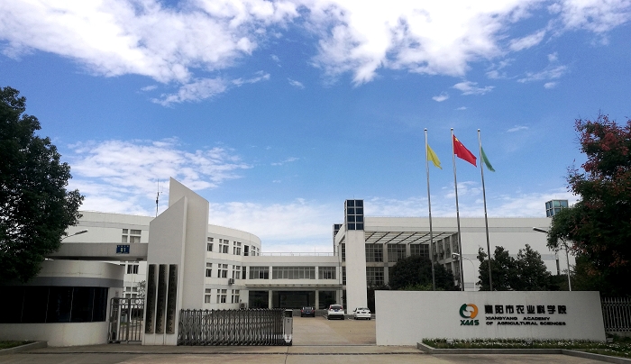 襄陽市農業科學院