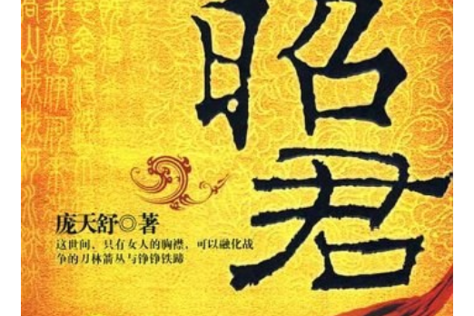 王昭君(2007年新華出版社出版的圖書)