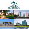 北京經濟技術開發區(亦莊)
