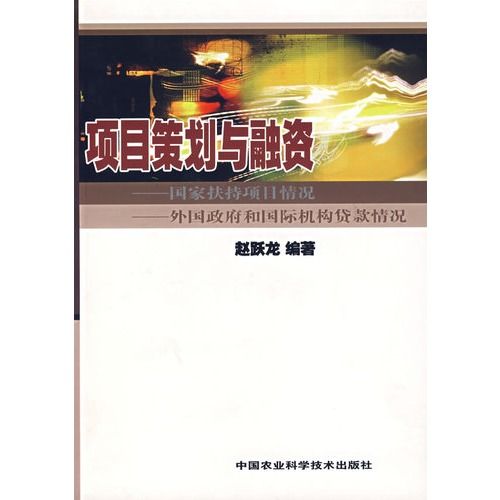 項目策劃與融資：國家扶持項目情況外國政府和國際機構貸款情況