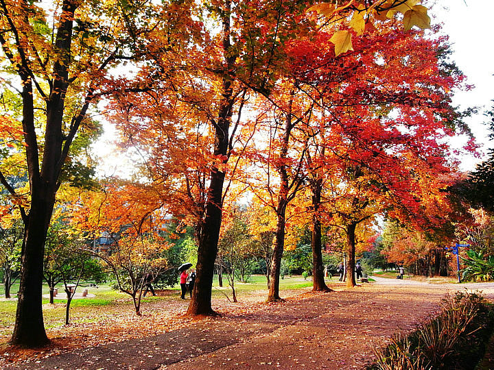 廣東南台山國家森林公園