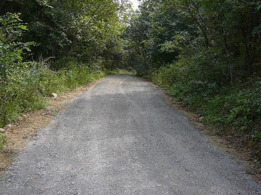 淄博市魯山林場