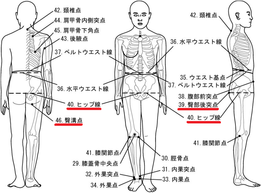 臀寬(髖最大寬)