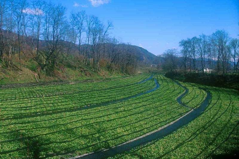 小山地質公園