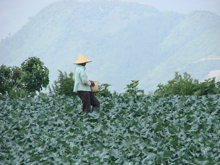 矣乍村