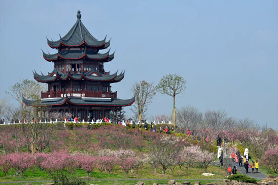 海灣國家森林公園